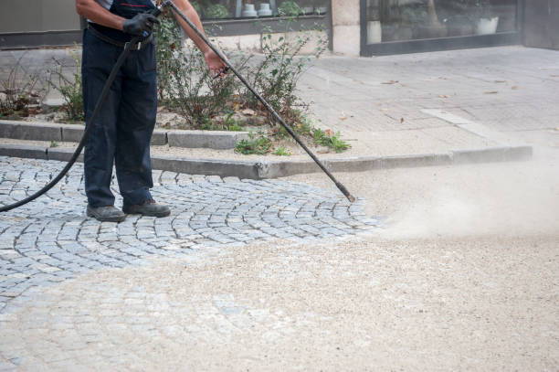 Best Window and Screen Pressure Cleaning in Robinwood, MD